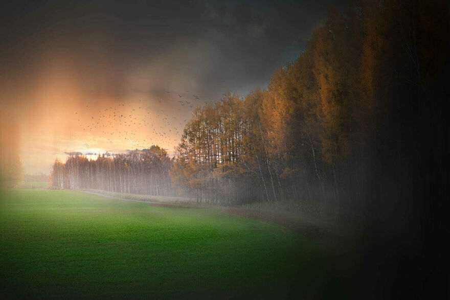 Trees Of Hokkaido: Beautiful Pictures Of The Trees In My Hometown By Roy Iwasaki