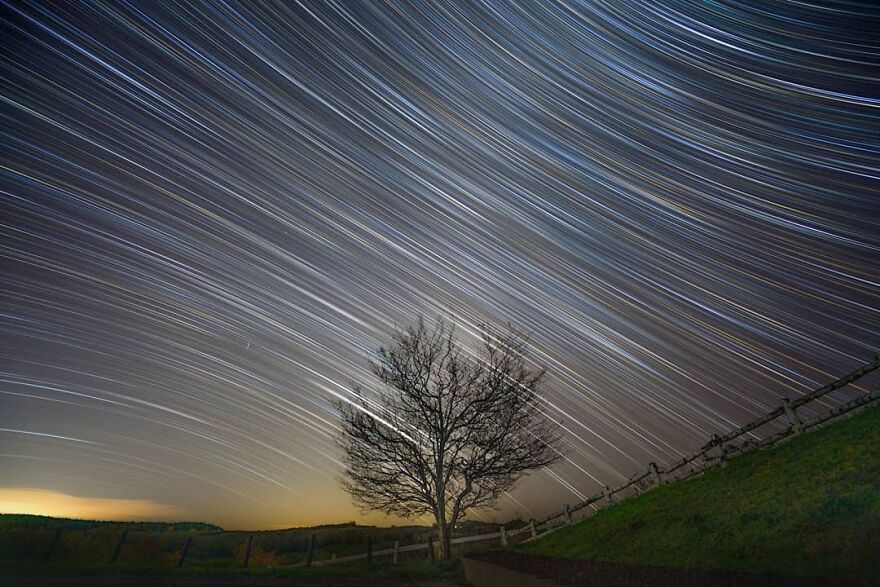 Trees Of Hokkaido: Beautiful Pictures Of The Trees In My Hometown By Roy Iwasaki