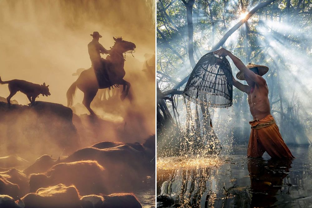 10 Beautiful Photos Of ViewSonic ColorPro Awards