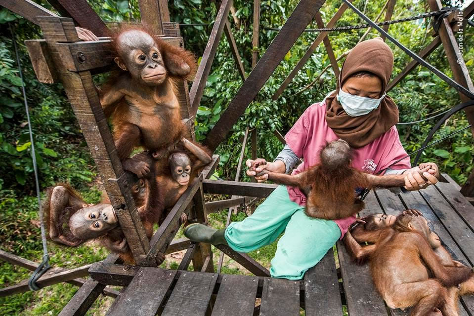 People’s Choice Award For Wildlife Photographer Of The Year 2021