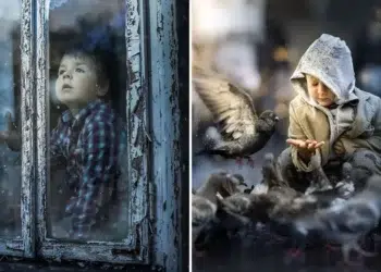 Boy at rainy window and child feeding pigeons — child photography by Iwona Podlasinska