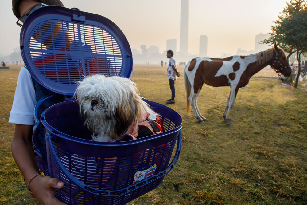 My Personal Best: Indian Photographer Anuradha Chatterjee