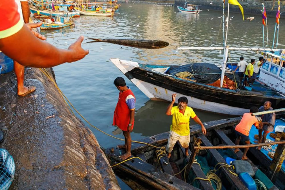 My Personal Best: Indian Photographer Anuradha Chatterjee