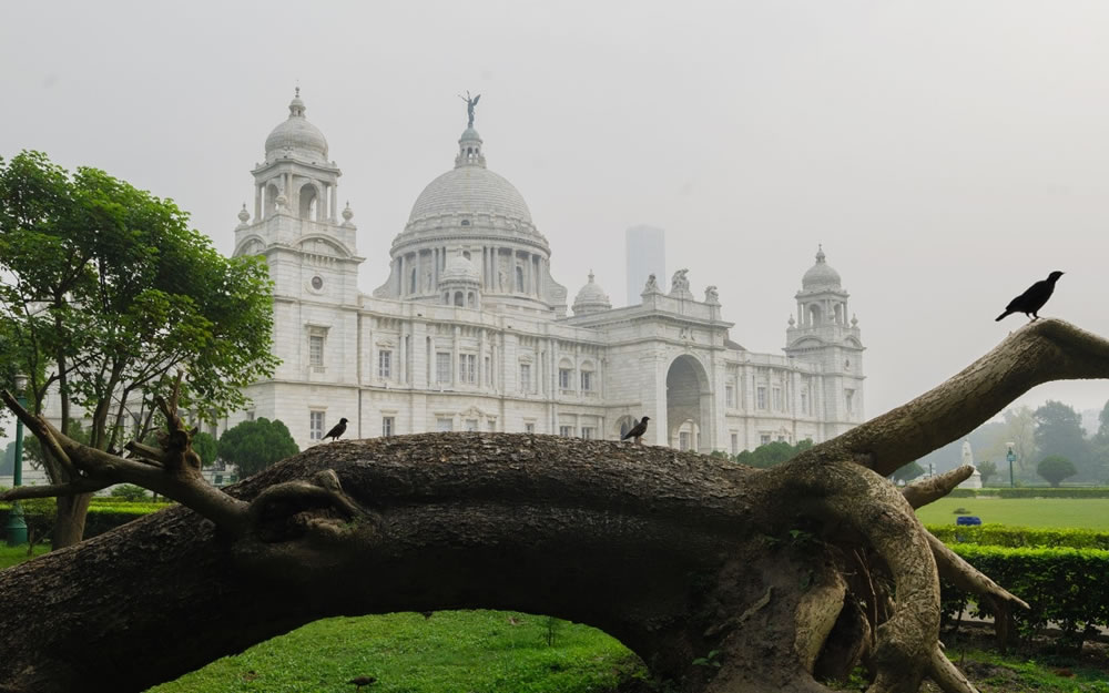 My Personal Best: Indian Photographer Anuradha Chatterjee