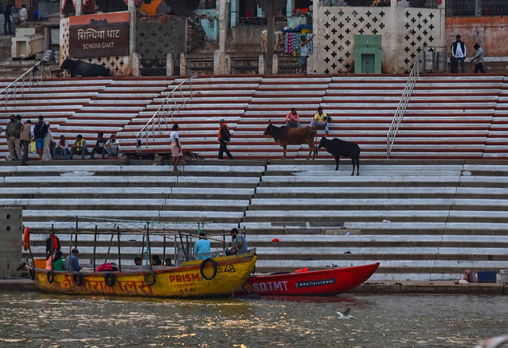 Stair Dairy Of Colorful Varanasi By Tanusree Mitra