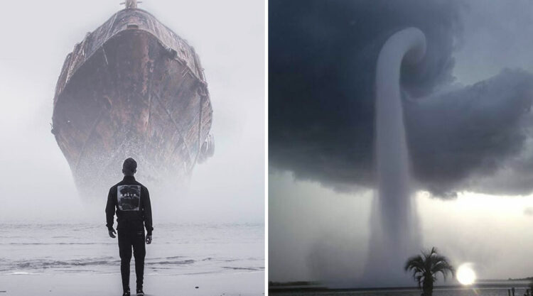30 Photos Of Massive Things That Are A Big ‘Nope’ For People With Megalophobia