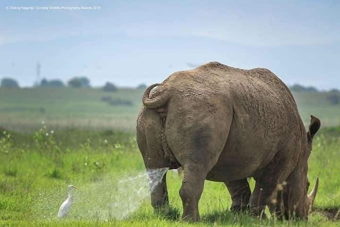 Photos Of Nature In Its Full Glory And Magnificence