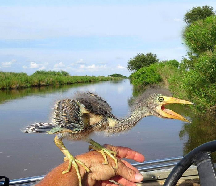 Photos Of Nature In Its Full Glory And Magnificence