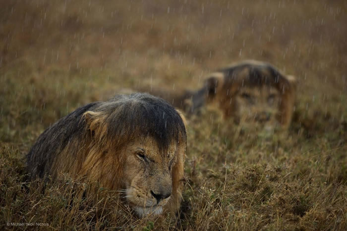 Photos Of Nature In Its Full Glory And Magnificence