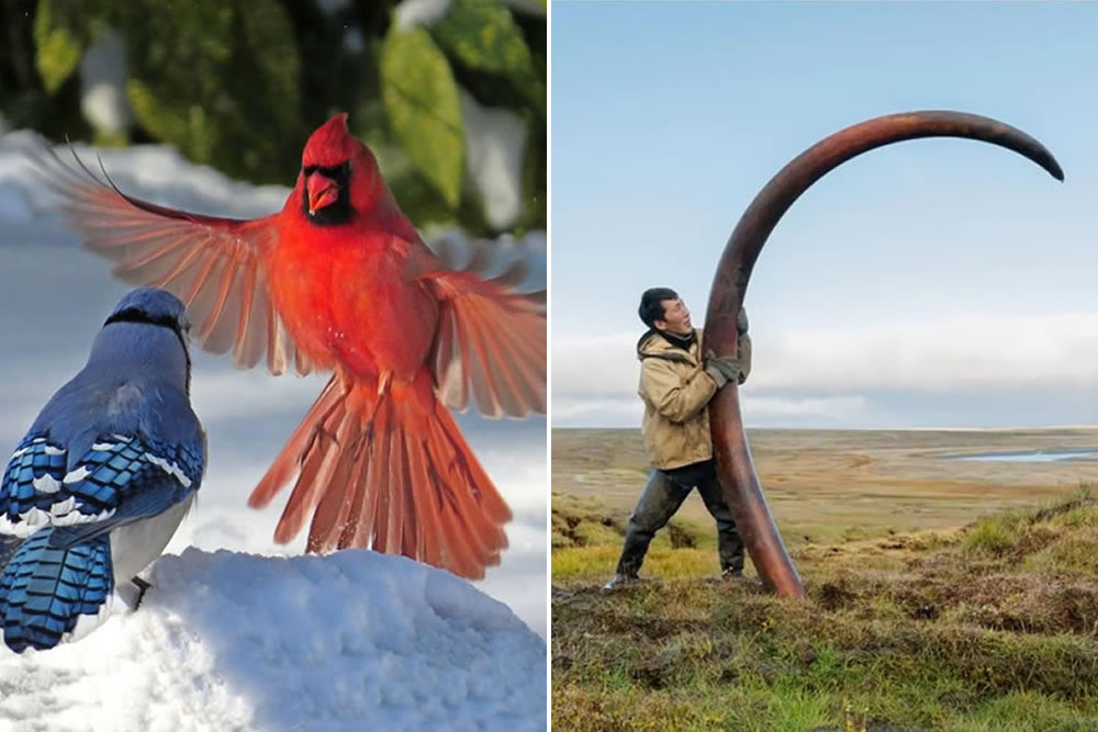 30 Photos Of Nature In Its Full Glory And Magnificence