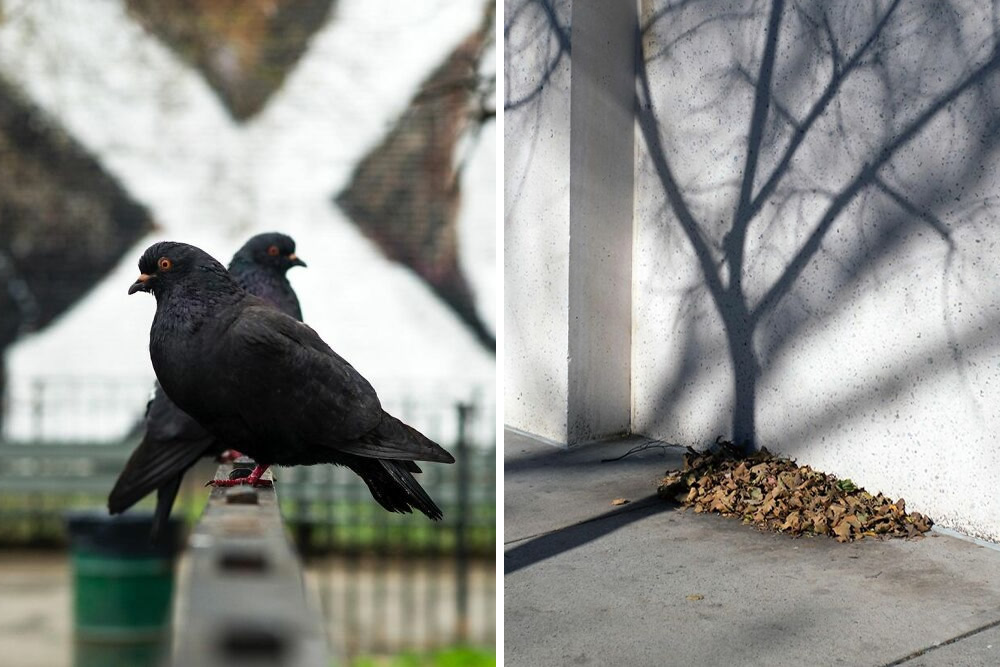 Russian Street Photographer Eric Kogan Captured The Perfectly-Timed Photos (20 Pics)