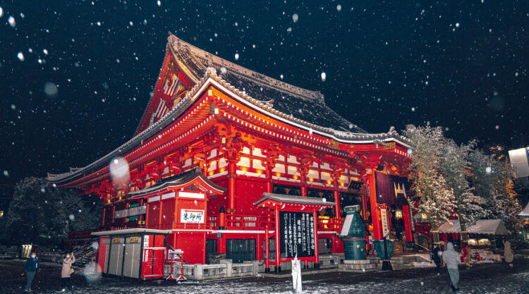 15 Beautiful Photos Of Tokyo Covered In Heavy Snow Captured By Yuichi Yokota