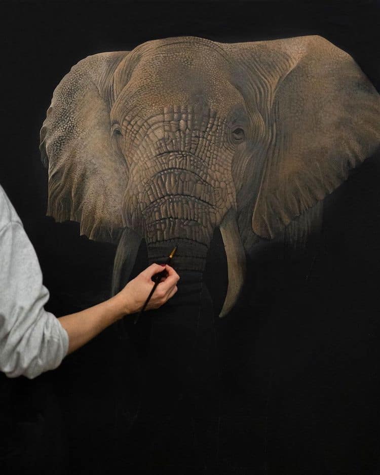 Realistic Animal Paintings By Sophie Green