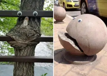 Googly eyes on tree and stone bollard, urban interventions