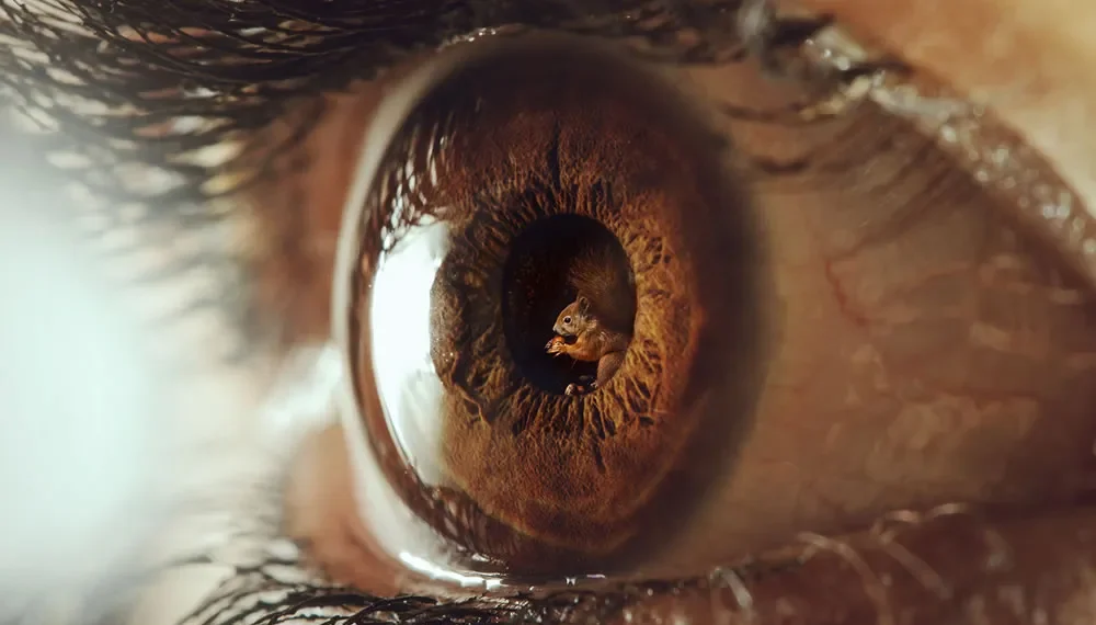 Macro photo of a human eye with a tiny squirrel reflected in the pupil