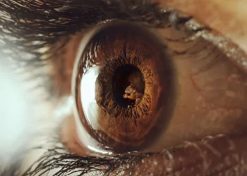 Macro photo of a human eye with a tiny squirrel reflected in the pupil