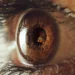 Eyeriz: A Striking And Surrealist Photos by Jyo John Mulloor 57 Macro photo of a human eye with a tiny squirrel reflected in the pupil