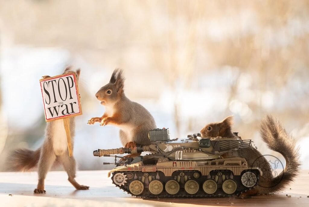 Photographer Geert Weggen Shoots Anti-War Squirrel Photos As A Message Of Peace