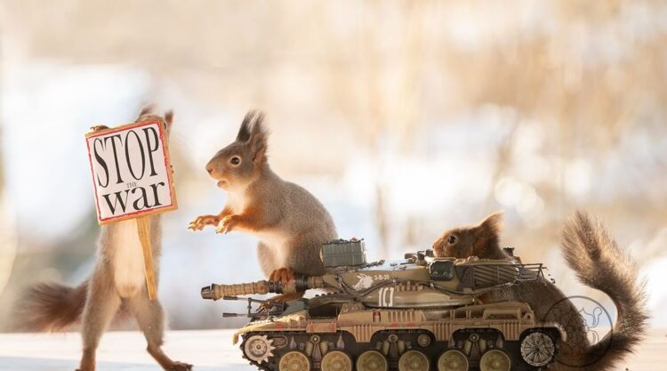 Photographer Geert Weggen Shoots Anti-War Squirrel Photos As A Message Of Peace