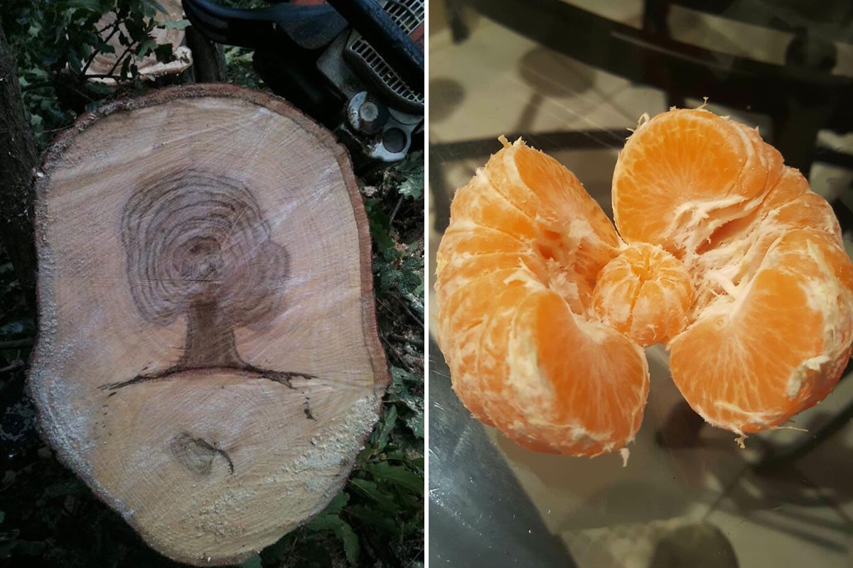 30 Photos Things Were Doubled And People Couldn’t Resist Capturing A Picture