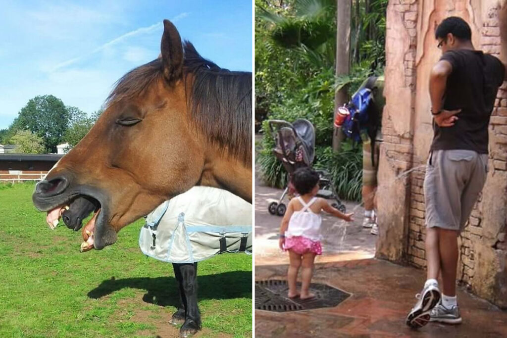 20 Funny Photos That Captured Unexpected Moments In Life