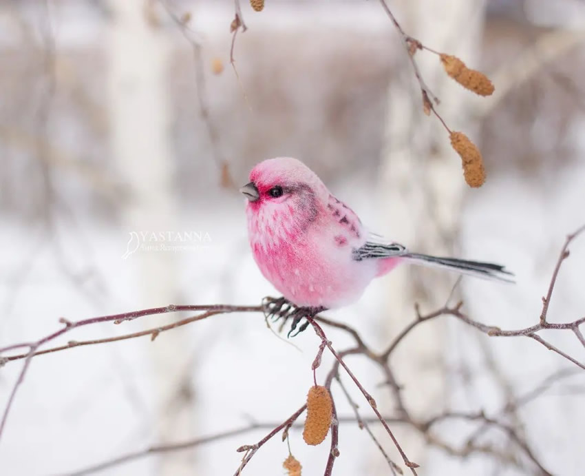 Realistic Handmade Wool Animals By Anna Yastrezhembovskaya