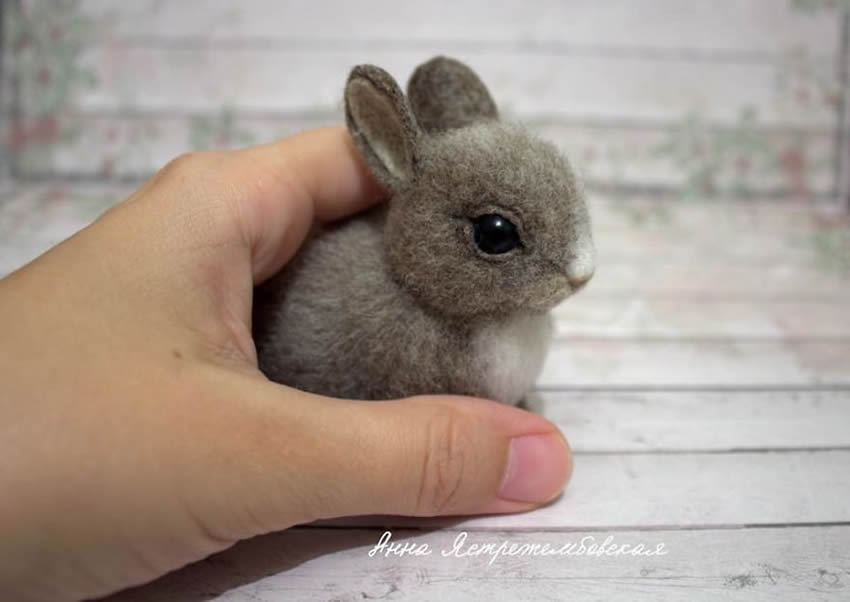 Realistic Handmade Wool Animals By Anna Yastrezhembovskaya