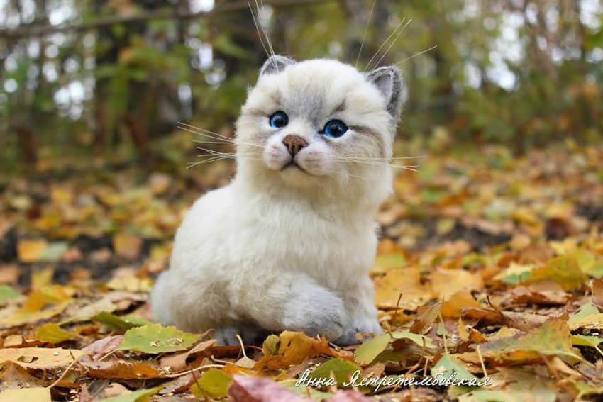 Realistic Handmade Wool Animals By Anna Yastrezhembovskaya