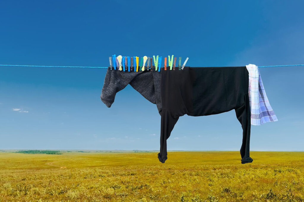 Artist Helga Stentzel Transforms Everyday Household Items Into A Host Of Playful Characters