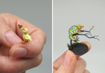 Miniature Animals By Fanni Sandor