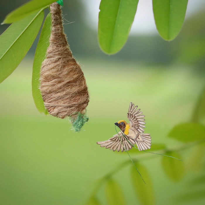 Miniature Paper Birds By Nayan and Vishali