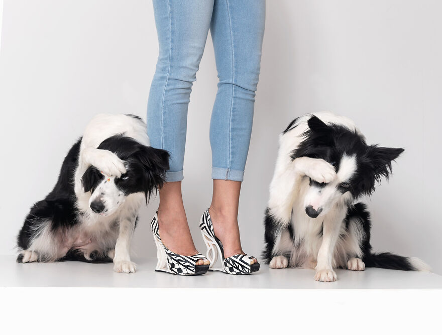 Pet’s Owner By Their Feet by Elayne Massaini