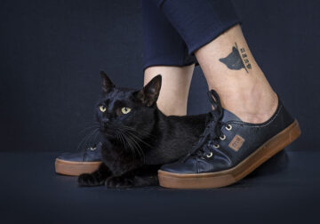 My Photography Project Proves You Can Tell A Pet’s Owner By Their Feet