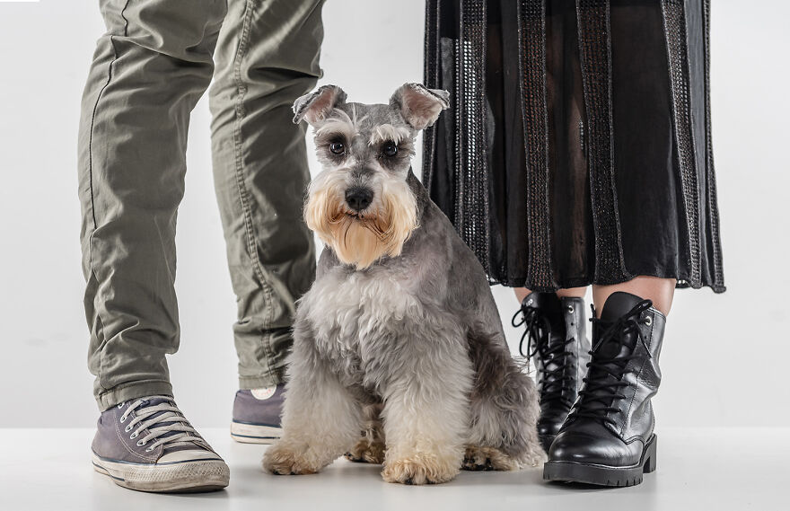 Pet’s Owner By Their Feet by Elayne Massaini