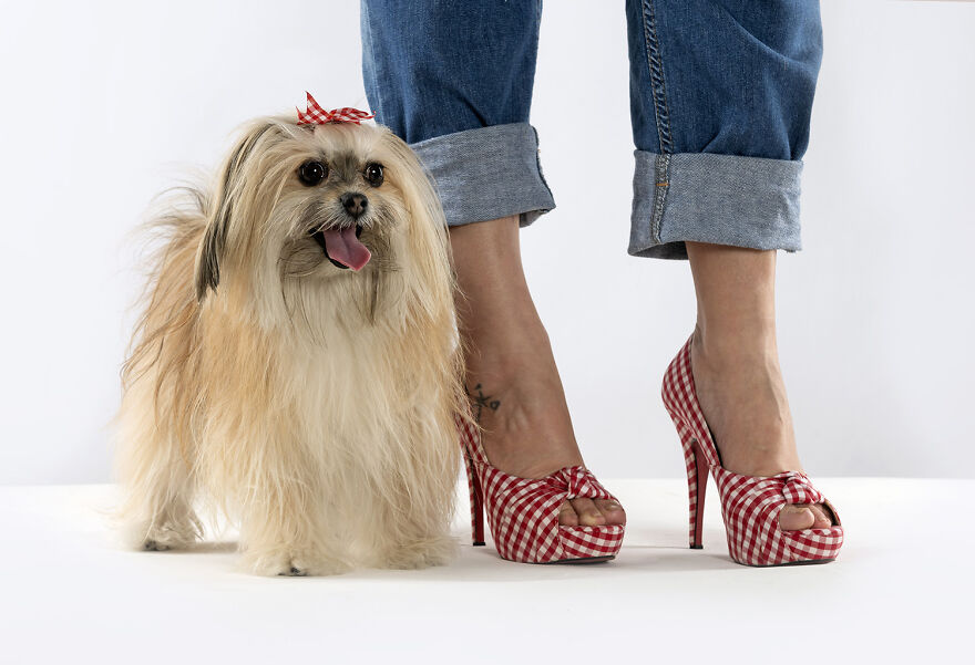 Pet’s Owner By Their Feet by Elayne Massaini