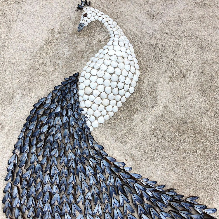 Seashells On The Beach Art By Anna Chan