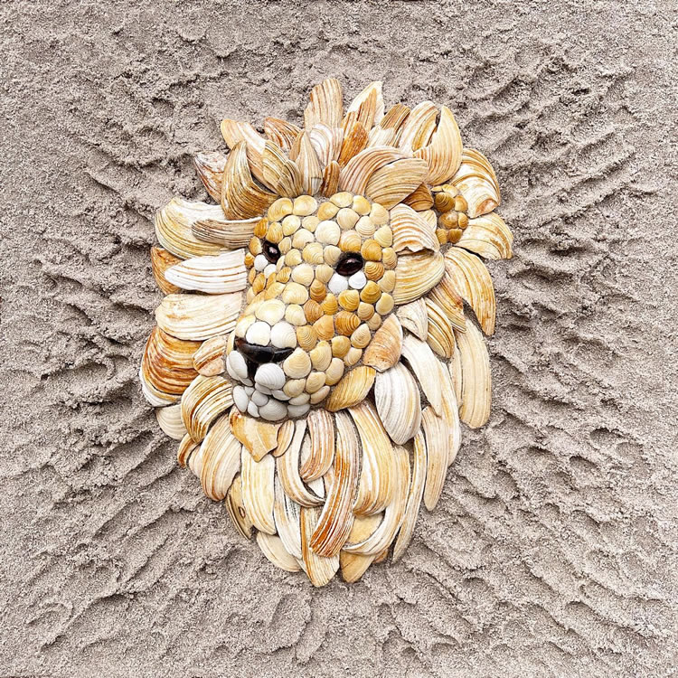 Seashells On The Beach Art By Anna Chan