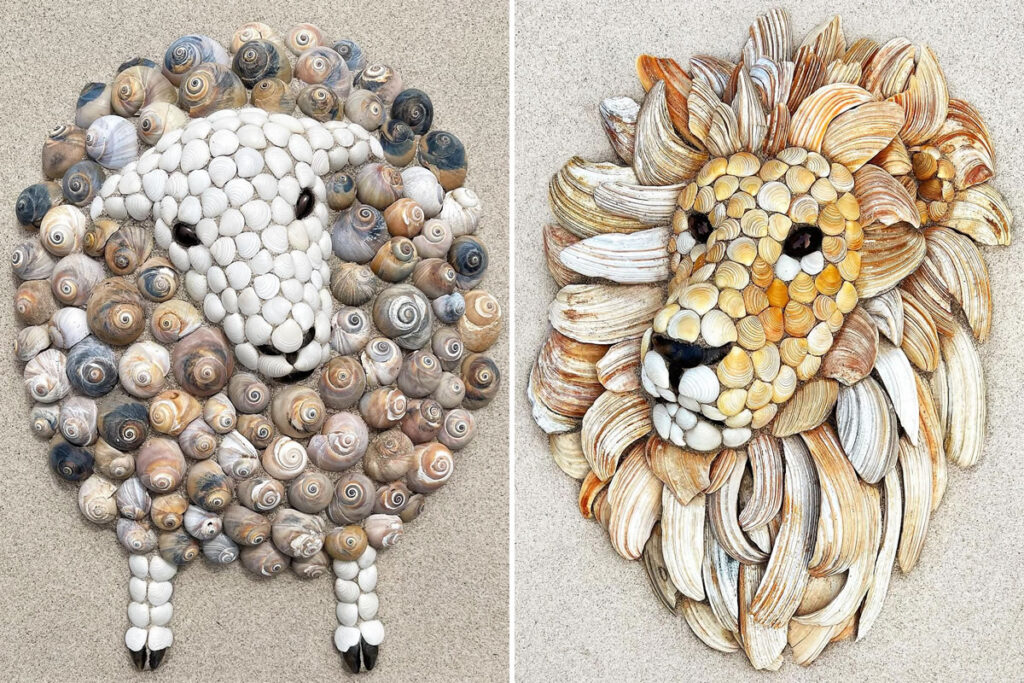 Artist Anna Chan Gathers Seashells On The Beach To Create Amazing Animal Portraits