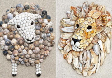 Artist Anna Chan Gathers Seashells On The Beach To Create Amazing Animal Portraits