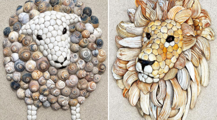Artist Anna Chan Gathers Seashells On The Beach To Create Amazing Animal Portraits