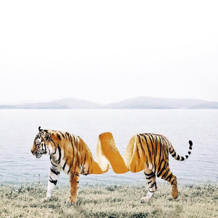 Surreal Photo Manipulation by Luisa Azevedo