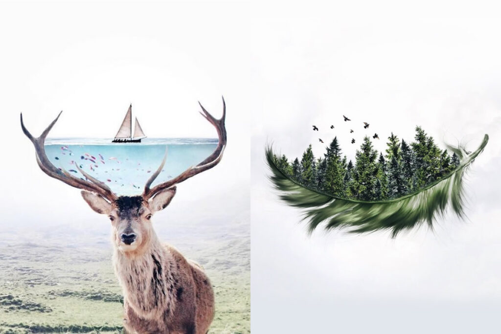 Digital Artist Luisa Azevedo Creates Dreamy And Surreal Photo Manipulation