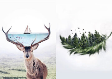 Digital Artist Luisa Azevedo Creates Dreamy And Surreal Photo Manipulation