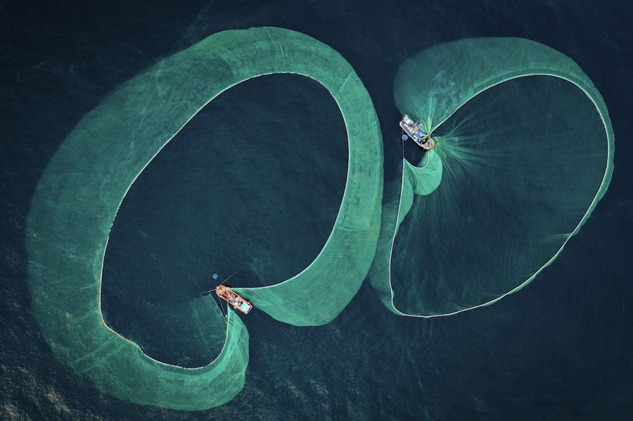 Vencedores do Concurso de Fotógrafo Subaquático do Ano