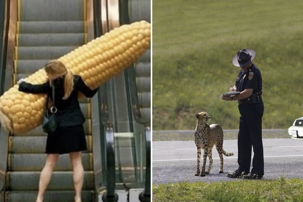 30 Funny And Confusing Pics Posted By The Online Twitter Page