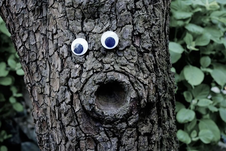 People Are Sticking Googly Eyes on Everything From Trees to 'Mom's Ashes'  in Viral Trend