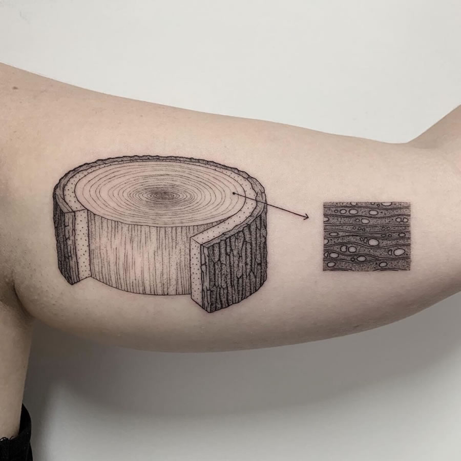 Tatuagens de assuntos científicos e estranhos por Michele Volpi