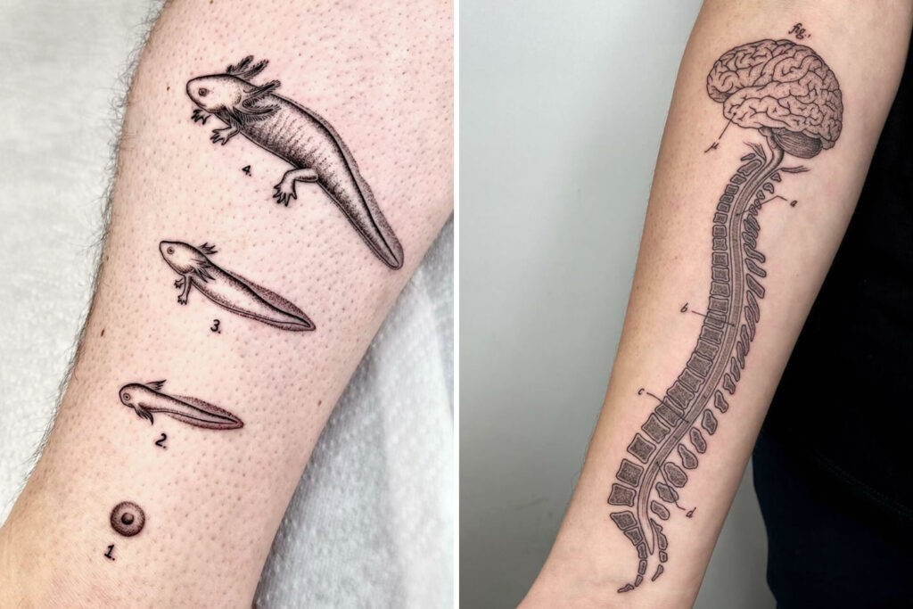 Italian Artist Creates Tattoos Inspired By Scientific And Strange Subjects