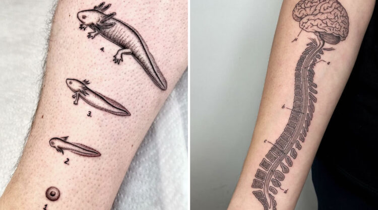 Italian Artist Creates Tattoos Inspired By Scientific And Strange Subjects