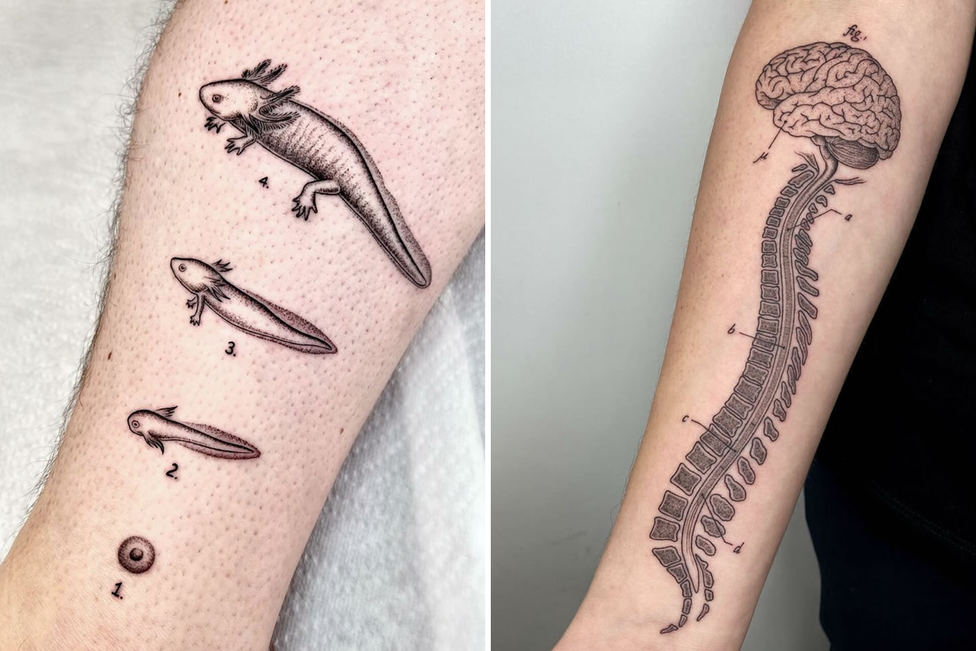 Realistic Tattoos by Italian Artist Fiato – Scene360